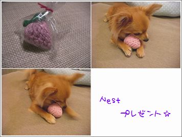 1111.jpg