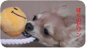 おもちゃ.jpg