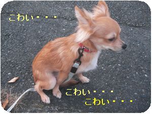 こわい2.jpg