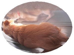 ひなたぼっこ2.jpg