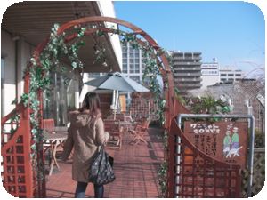 コロラド入り口.jpg