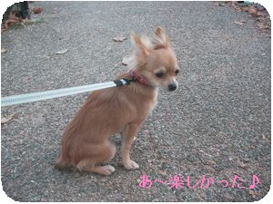 楽しかった.jpg