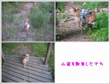 山道統合.jpg