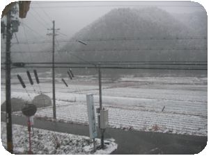 雪.jpg