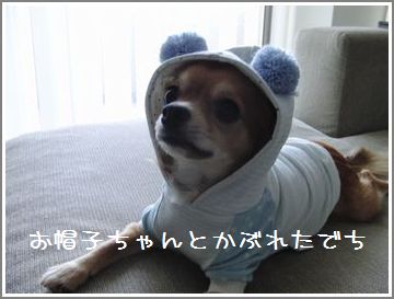 CIMG0245.jpg