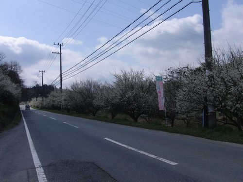 CIMG5033.JPG