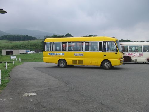 CIMG8265.JPG