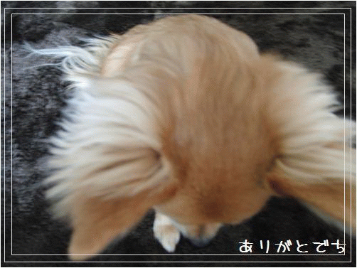 ありがと.gif