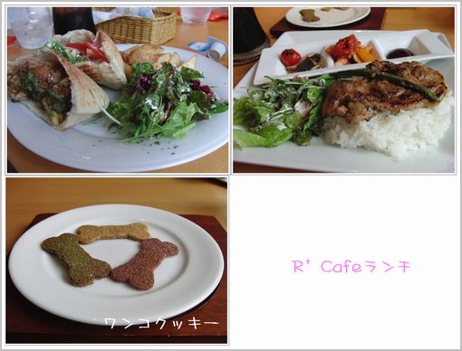 ランチ.jpg