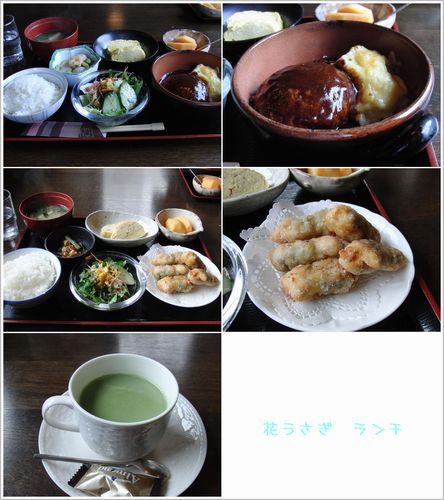 ランチ.jpg