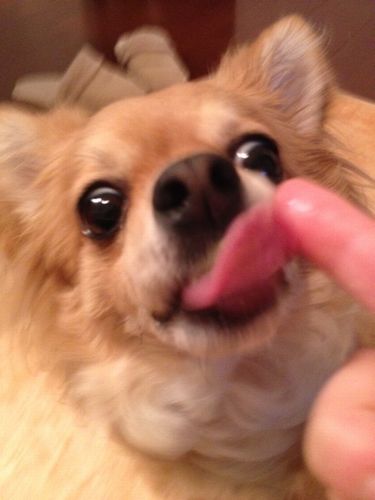 写真 3.JPG