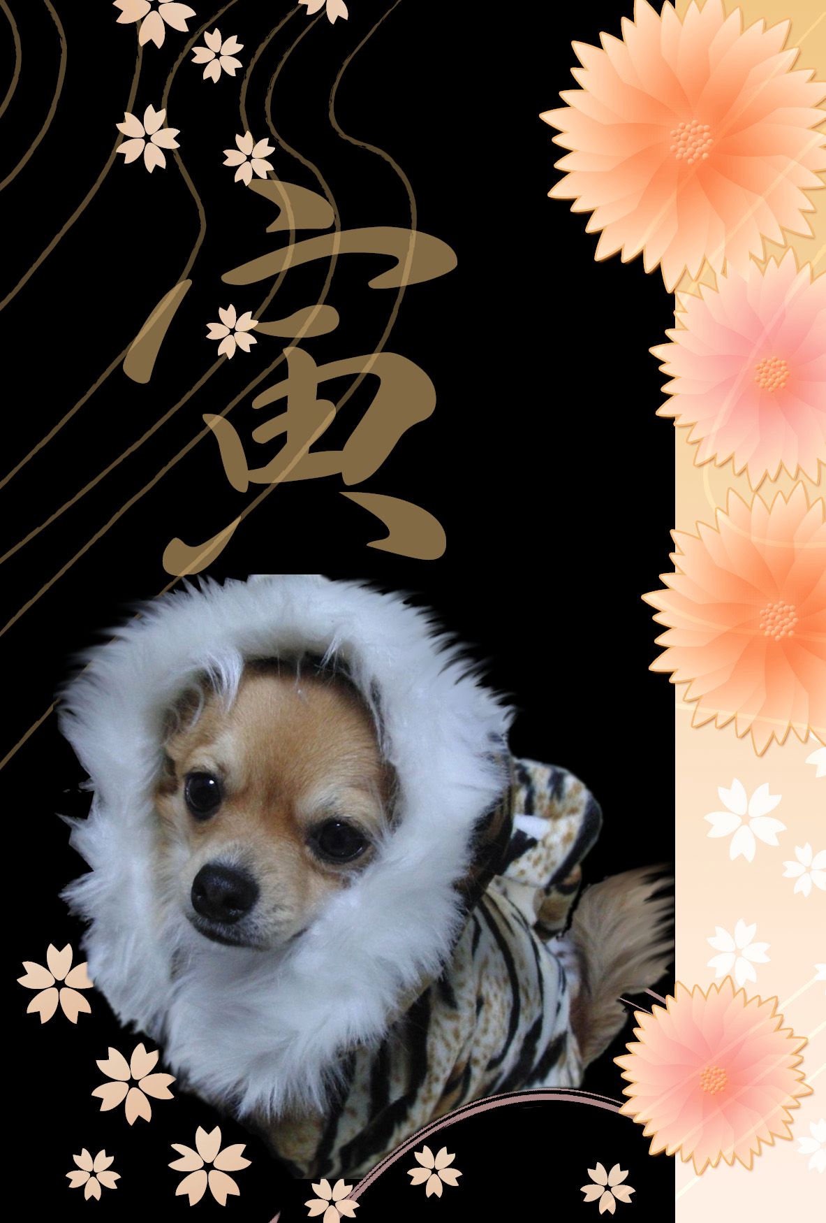 年賀状.jpg
