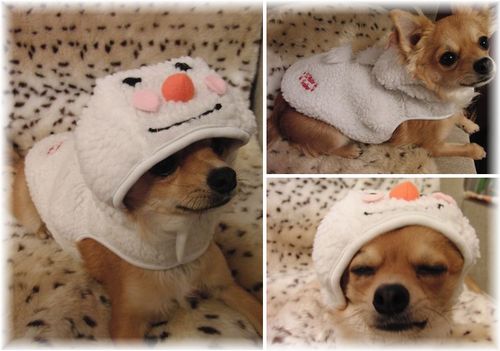雪だるま.jpg