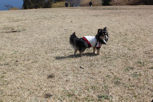 IMG_0012.JPG