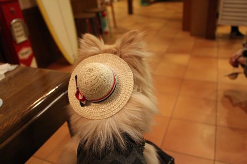 IMG_0128.JPG