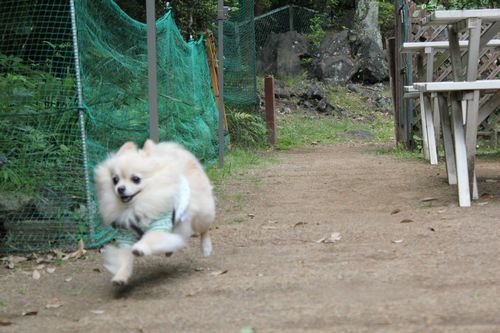 IMG_0148.JPG