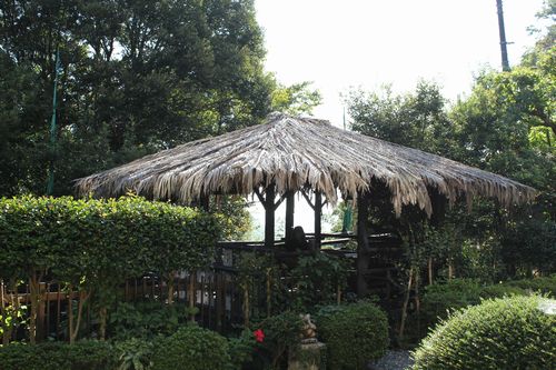 IMG_0916.JPG