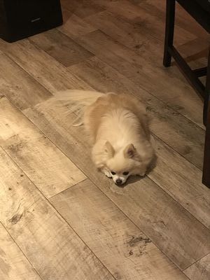IMG_0921.JPG