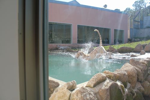 IMG_1100.JPG