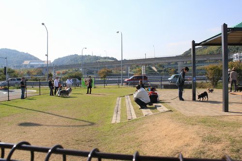 IMG_2099.JPG