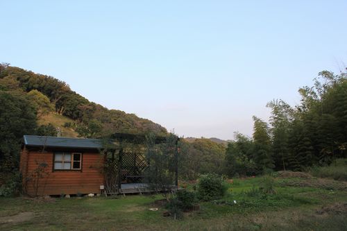 IMG_2247.JPG