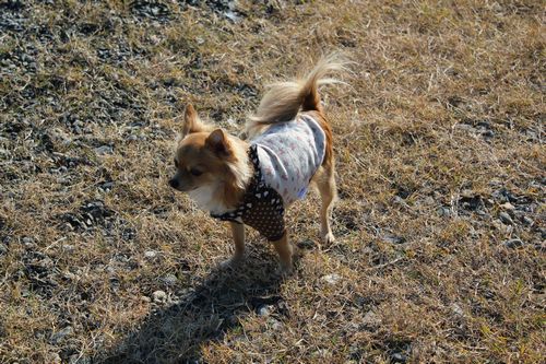 IMG_2565.JPG