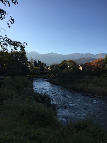 IMG_3589.JPG