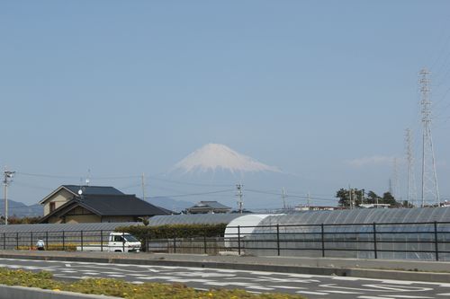 IMG_3630.JPG