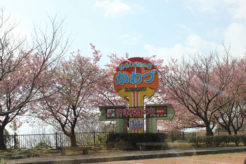 IMG_3795.JPG