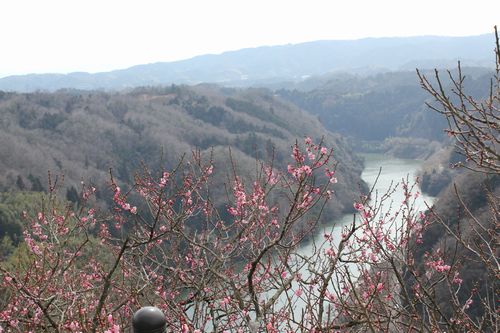 IMG_3915.JPG