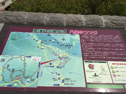 IMG_4519.JPG