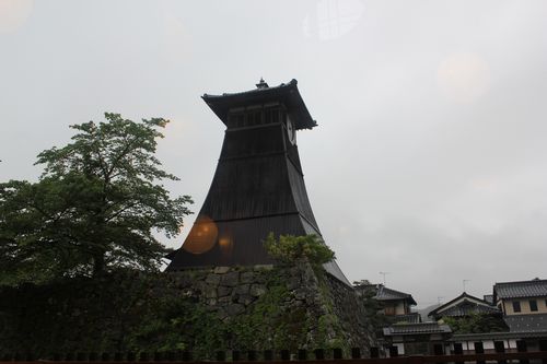 IMG_5029.JPG
