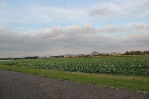 IMG_5707.JPG