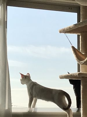 IMG_6386.JPG