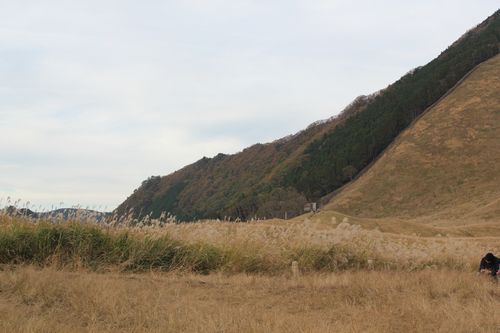 IMG_7125.JPG