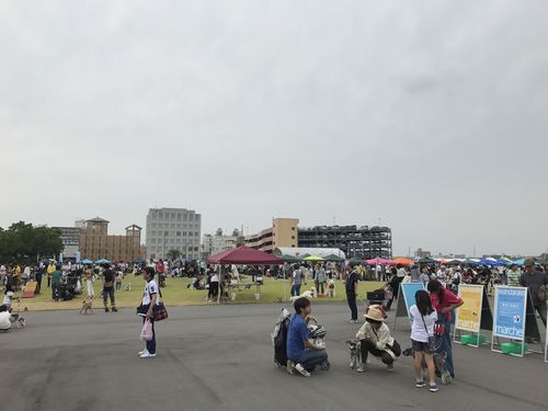 IMG_7733.JPG