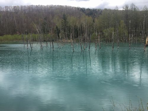 IMG_7792.JPG