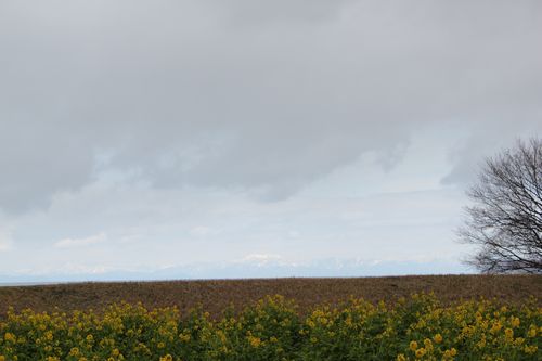 IMG_7936.JPG