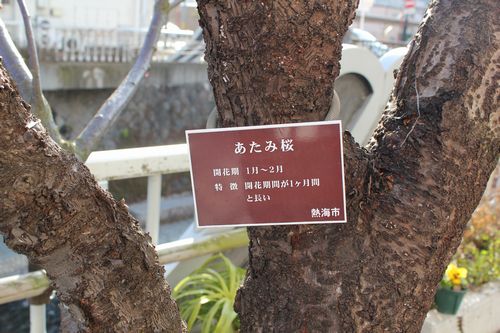 IMG_8074.JPG