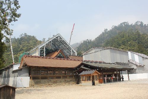 IMG_8354.jpg