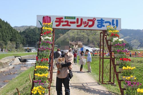 IMG_8404.JPG