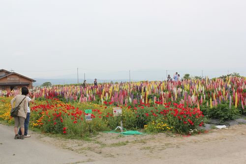 IMG_8526.JPG