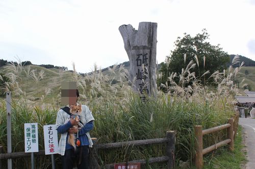 IMG_8746.JPG