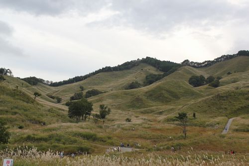 IMG_8764.JPG