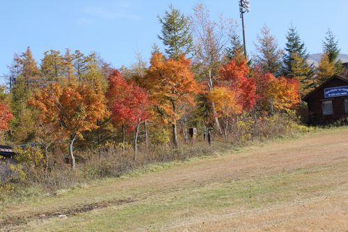 IMG_8908.JPG