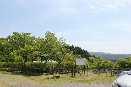 IMG_9323.JPG