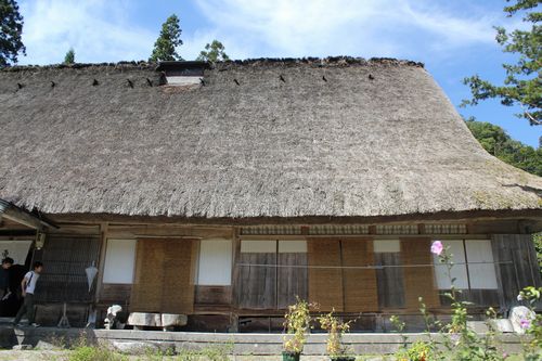 IMG_9678.JPG