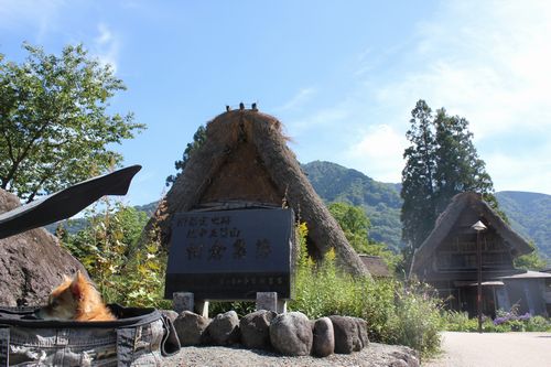 IMG_9681.JPG