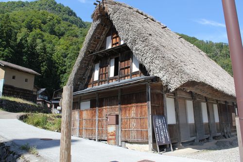 IMG_9682.JPG