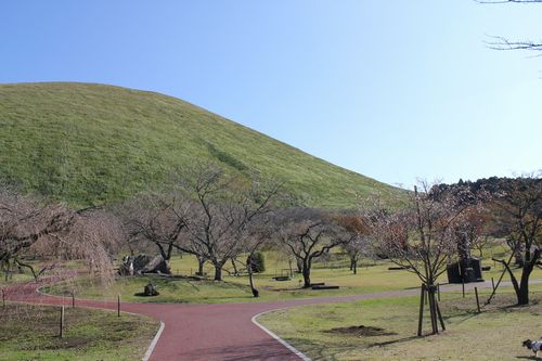 IMG_9863.JPG